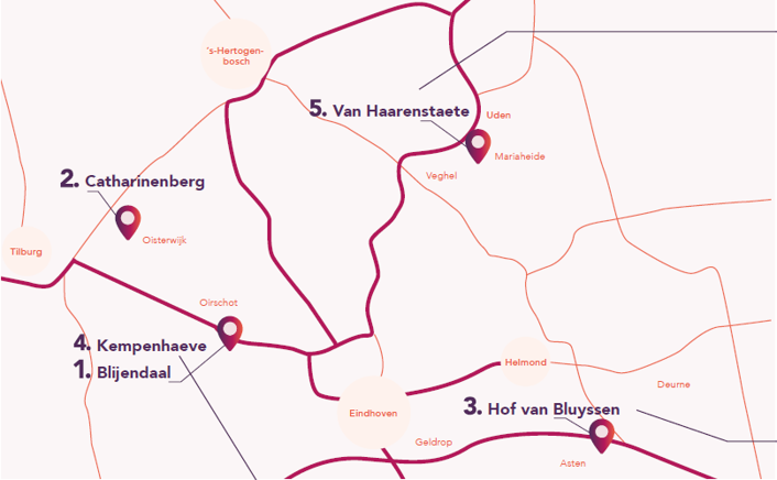 Kaartje met een geografische weergave van de locaties van Amaliazorg